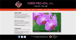 Desktop Screenshot of durst-pro-usa.com
